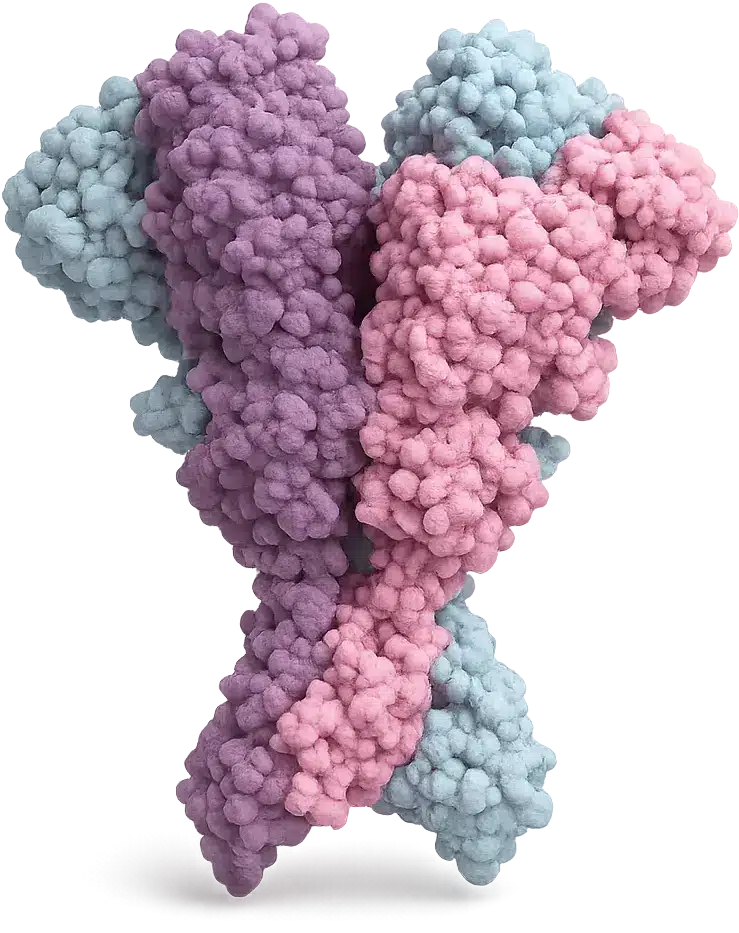 medical model of a NMDA Receptor